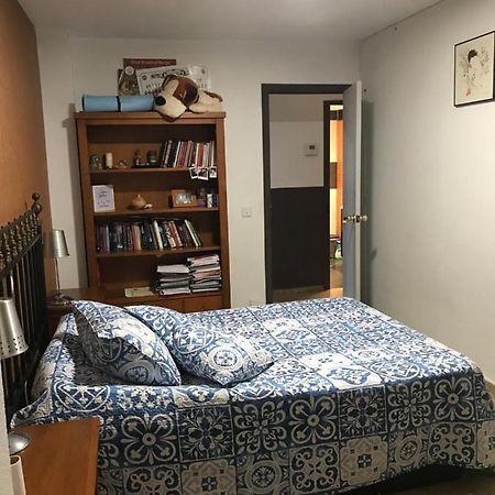 Habitaciones Cordoba Buena Vista מראה חיצוני תמונה
